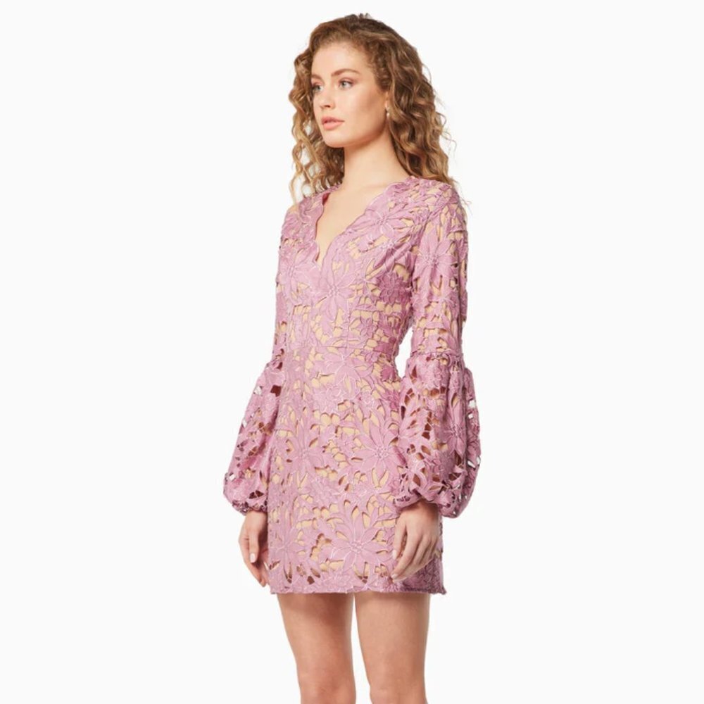 Elliatt Calendar Long Sleeve Lace Mini Dress Size Small NWT - Picture 4 of 6